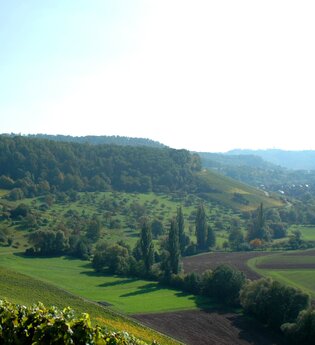Eschenauer Paradies | Obersulm | Weinsberger Tal | HeilbronnerLand | © Touristikgemeinschaft HeilbronnerLand e.V.