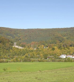 Vierburgenstadt Neckarsteinach | © Touristikgemeinschaft Odenwald e.V.