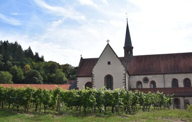Vinothek Taubertal im Kloster Bronnbach