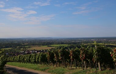 Wallfahrtskapelle Letzenberg und Aussichtspunkt (247 m)