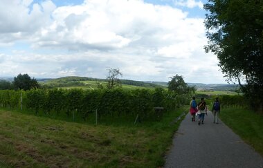 Wallfahrtskapelle Letzenberg und Aussichtspunkt (247 m)