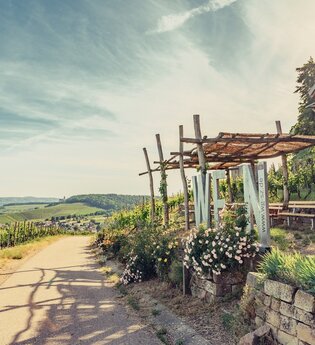 Weinausschank im Zweifelberg | Weinsüden Weinort Brackenheim | HeilbronnerLand
