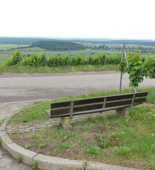 Weinberg "Röschen" Hohenhaslach