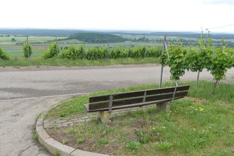 Weinberg "Röschen" Hohenhaslach