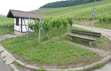 Weinberg "Röschen" Hohenhaslach