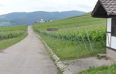 Weinberg "Röschen" Hohenhaslach