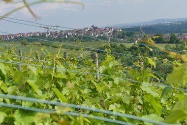 © Stadt Sachsenheim