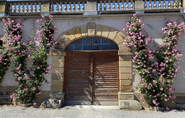 Weingut Graf Neipperg | © Graf Neipperg