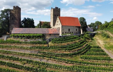Weingut Graf Neipperg | © Graf Neipperg