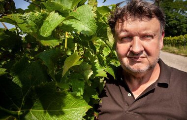 Weingut Honold | © WEINGUT LUDWIG HONOLD