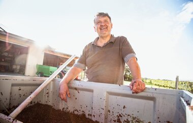 Weingut Honold