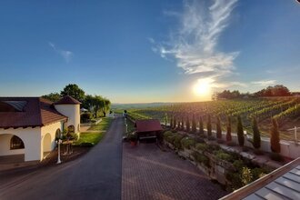 Weingut Kurz-Wagner - Aussichtslage auf dem Haigern | Talheim | HeilbronnerLand | © Weingut Kurz-Wagner