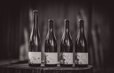 Weingut roterfaden