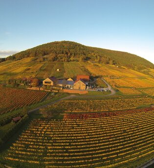 Weingut Rudolf Fürst | © TOURISMUS REGION WERTHEIM GmbH