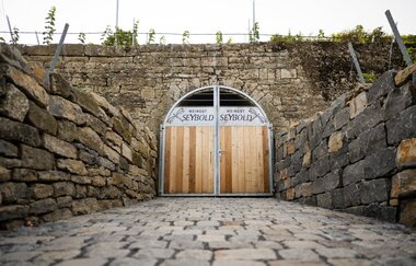Planwagen Fräulein Lybell | Weingut Seybold | Fahrt durch die Weinberge des Weinsüden Weinorts Lauffen am Neckar
