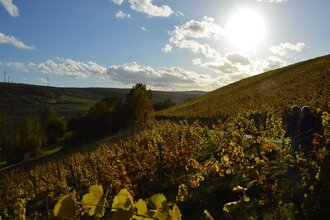 Weingut Udo Engelhardt