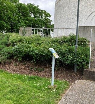 Weitersehen-Station am Hockenheimer Wasserturm | © Landratsamt Rhein-Neckar-Kreis
