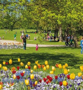 Wertwiesenpark Heilbronn | Parkanlage am Neckar