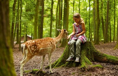 Wildparadies Tripsdrill | © Erlebnispark Tripsdrill