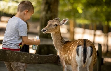 Wildtierpark Bad Mergentheim | © Wildtierpark Bad Mergentheim