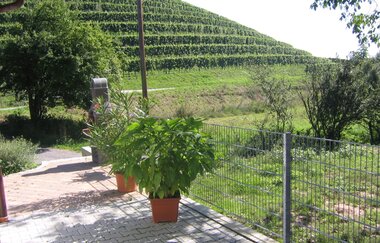 Besenwirtschaft Weingut Echle | Brackenheim-Neipperg | Blick in die Weinberge | © Neckar-Zaber-Tourismus e.V.