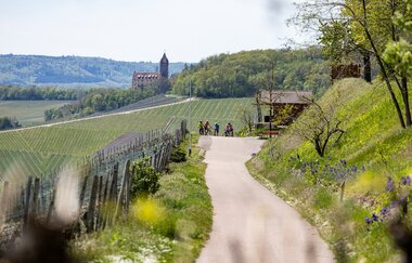 Weg in den Weinbergen | © Land der 1000 Hügel - Kraichgau-Stromberg