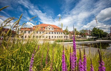 3B-Land: Hörnle-Tour | © Stadt Bönnigheim