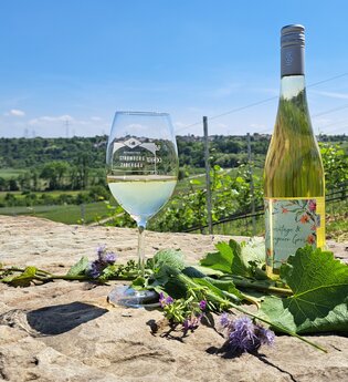 Naturspaziergang mit Verkostung | © Stadt Bönnigheim
