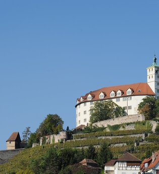 Altstadtrundgang Vaihingen | © Land der 1000 Hügel - Kraichgau-Stromberg