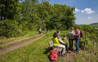 Auf dem Weg ins Himmelreich | © TOURISMUS REGION WERTHEIM GmbH