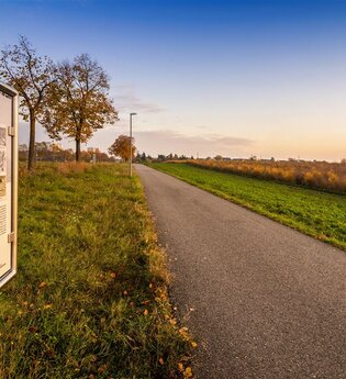 Auf den Spuren des Spargel | © Stadt Schwetzingen