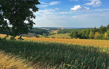 Bad Mergentheim - RR Tour 6 - Vier Täler Tour