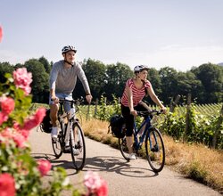 © Schwarzwald Tourismus GmbH | CC BY-SA