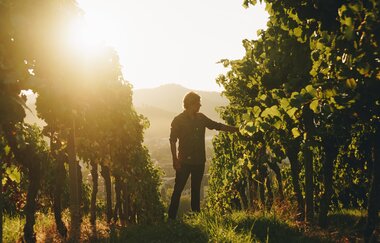 Badischer Weinradweg | © Schwarzwald Tourismus GmbH