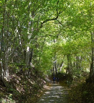 BikeTour Gaildorf - 32 km