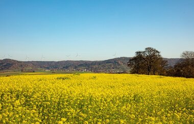 BikeTour Gaildorf - 32 km
