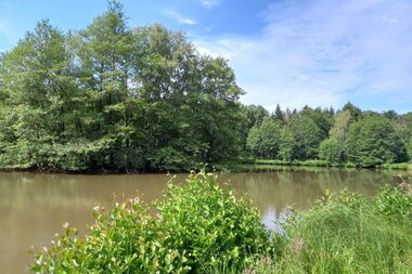 Blick über den Haspelsee - mit baumbestandener Insel und mit Büschen bewachsenem Seeufer | © Petra Natzkowski | CC BY-SA