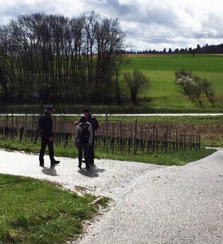 BR10 - Helmsheimer Rundweg zur schönen Aussicht