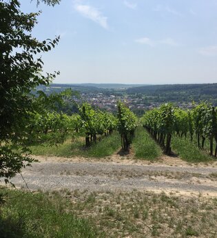 BR12 - Obergrombacher Burgweg