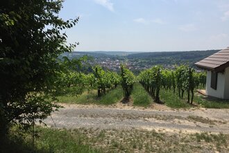 BR12 - Obergrombacher Burgweg