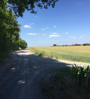 BR3 - Rundwanderweg Eichelberg