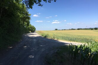BR3 - Rundwanderweg Eichelberg