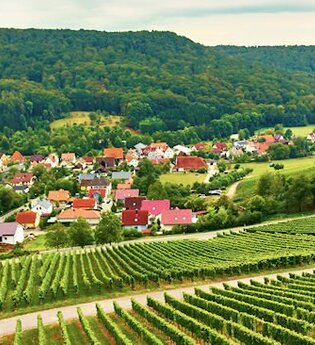 Der Ort Geddelsbach wird von Weinbergen und Wald umrahmt | © Hohenloher Perlen | Weingut Schneckenhof