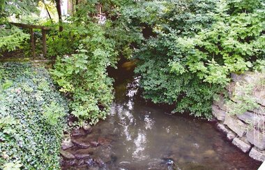 Der Fluss ist von Efeu und Büschen umgeben | © Touristikgemeinschaft Hohenlohe, Künzelsau e. V.