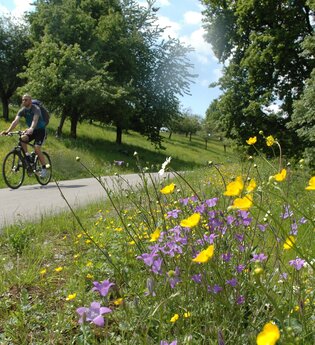 am Brettachtal-Radweg | HeilbronnerLand | © Touristikgemeinschaft HeilbronnerLand