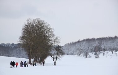 Bretten/Diedelsheim: Buchwald-Rundweg