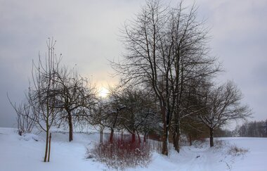 Bretten/Diedelsheim: Buchwald-Rundweg