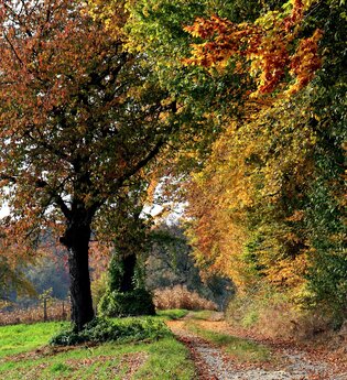 Bretten/Diedelsheim: Seebergweg