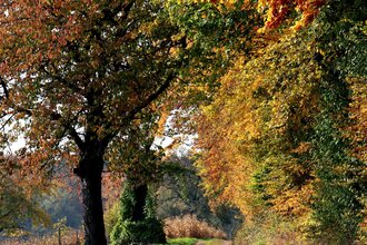 Bretten/Diedelsheim: Seebergweg