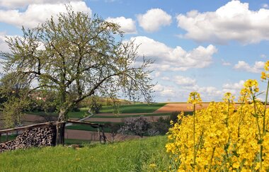 Bretten/Diedelsheim: Seebergweg